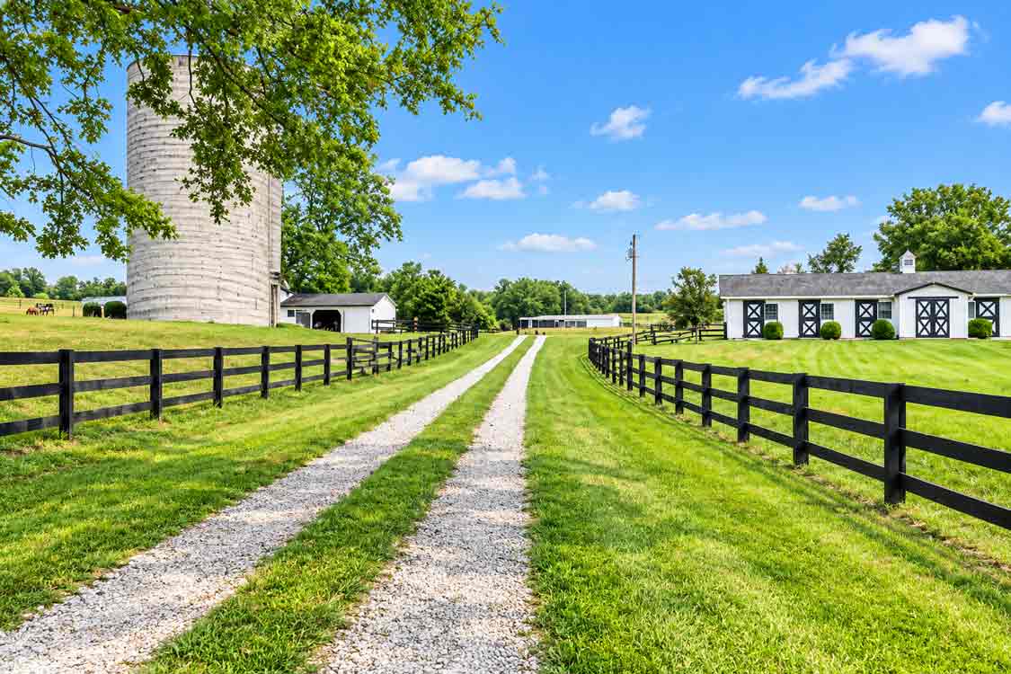 Historic Virginia farmhouse on a working farm with surrounding land and outbuildings